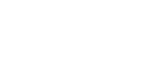 Fitz Logo White